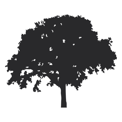 Grande vetor de árvore Desenho PNG