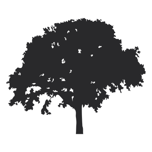 Vector de árbol enorme Diseño PNG