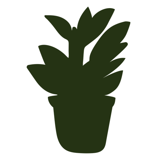 Indoor plant silhouette