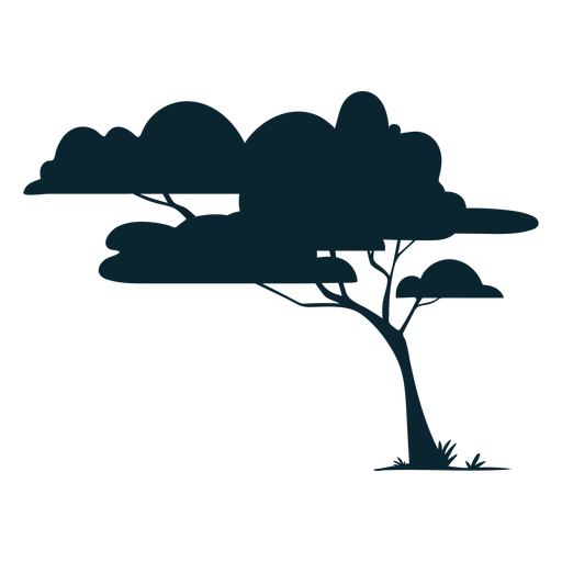 Safari Baum belaubt PNG-Design