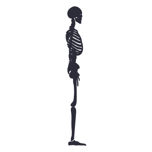 Download Side View Skeleton Silhouette Transparent Png Svg Vector File