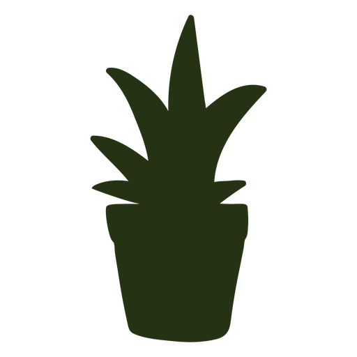 Silhouette indoor plant
