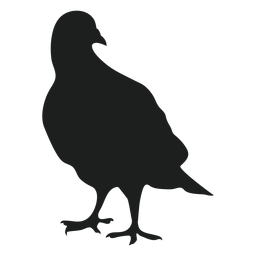 Palomas de pie silueta Diseño PNG