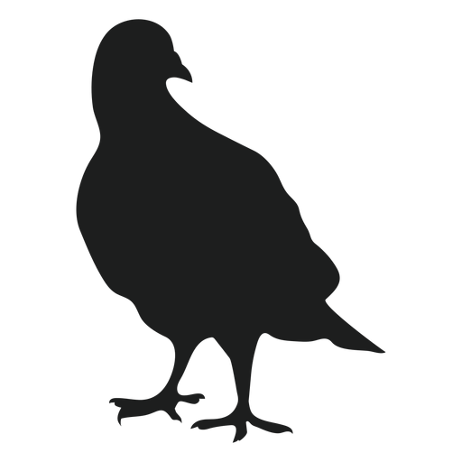 Stehende Taubenschattenbild PNG-Design