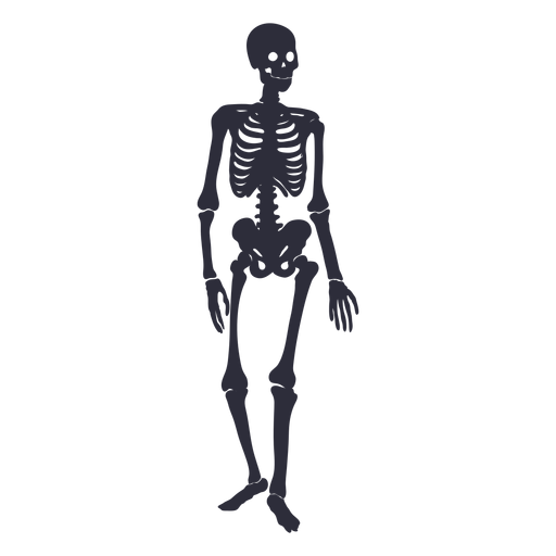 Download Standing skeleton silhouette - Transparent PNG & SVG ...