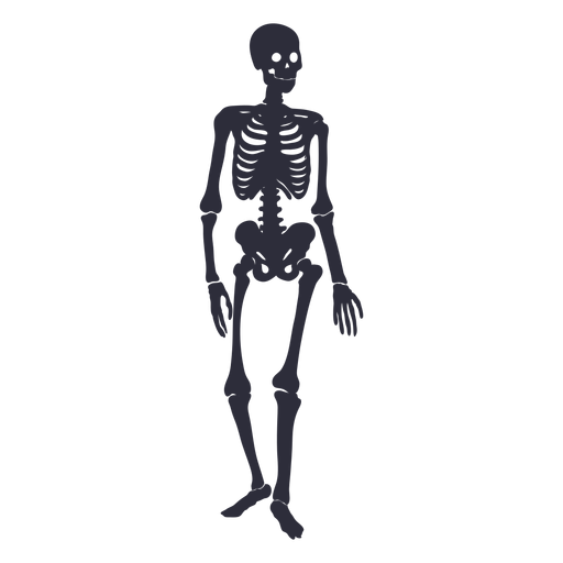 Standing skeleton silhouette PNG Design