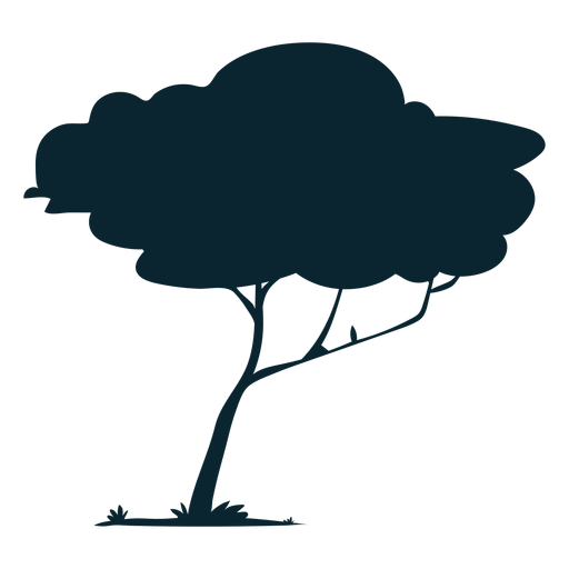 Dunner Ast Safari Baum Transparenter Png Und Svg Vektor