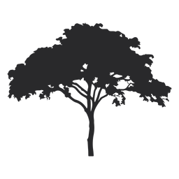 Amplia silueta de árbol Diseño PNG
