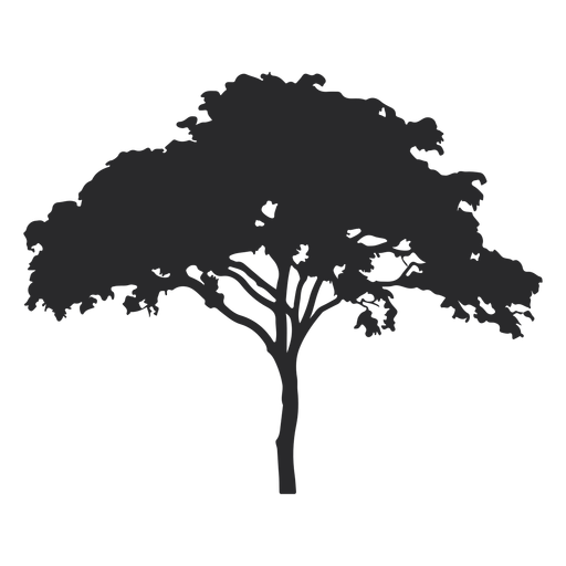 Wide tree silhouette - Transparent PNG & SVG vector file