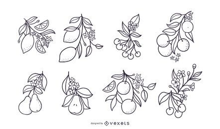 Hand drawn fruits with flowers set
