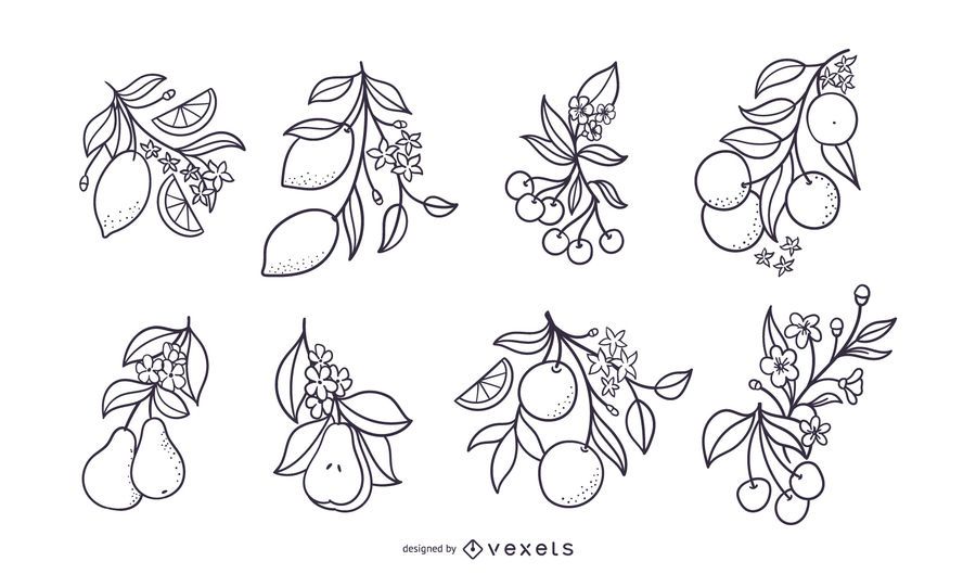Hand drawn fruits with flowers set Hand drawn fruits with flowers set