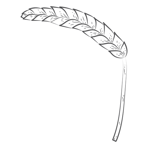 Hand gezeichnete Hopfenpflanze PNG-Design