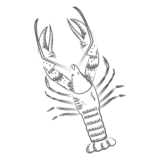 Download Hand drawn lobster - Transparent PNG & SVG vector file