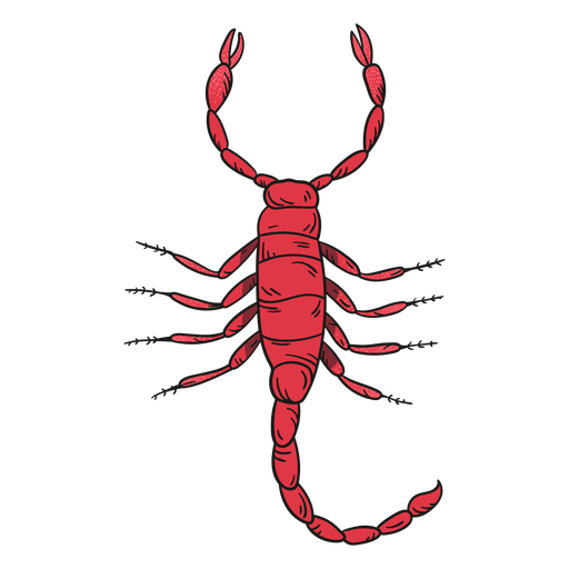Illustration Skorpion PNG-Design