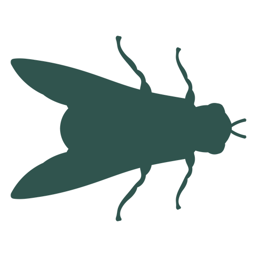 Insecto silueta bicho mosca Diseño PNG