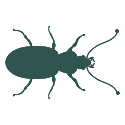 Insect silhouette green bug insect PNG Design