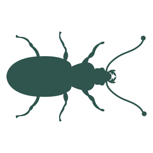 Silhueta de inseto inseto inseto verde Desenho PNG