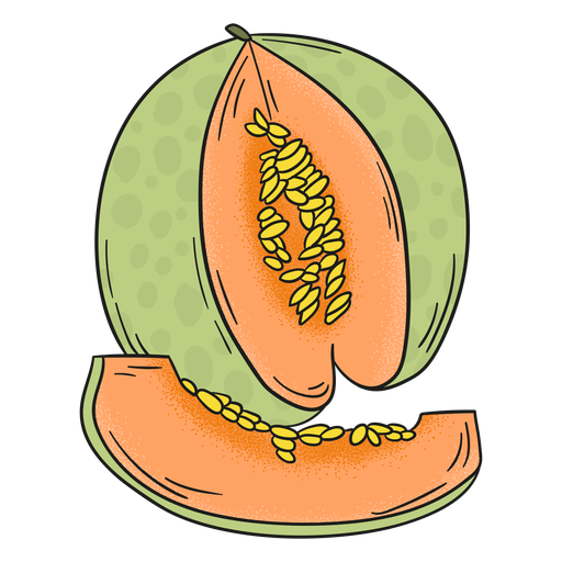 Melon detailed fruit PNG Design