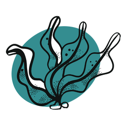 Meeresalgen PNG-Design