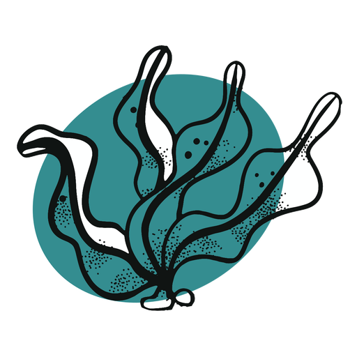 Ocean seaweed PNG Design
