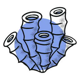 Ocean stroke coral PNG Design