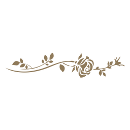 Divisória floral com folhas Desenho PNG