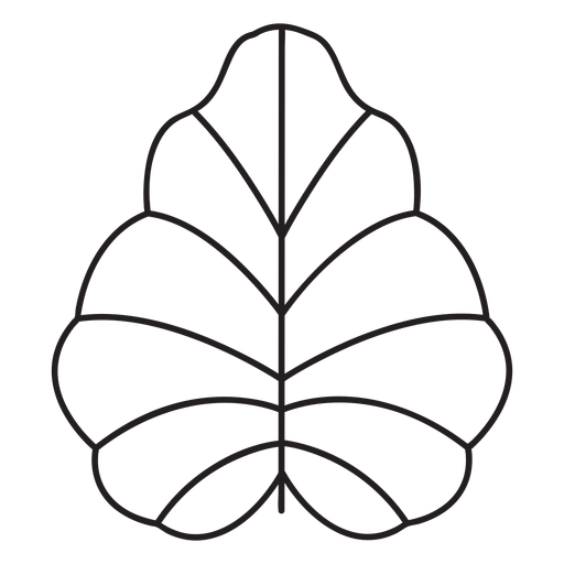 Leaf geometric alder stroke PNG Design