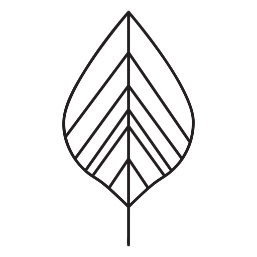 Leaf geometric elm stroke PNG Design
