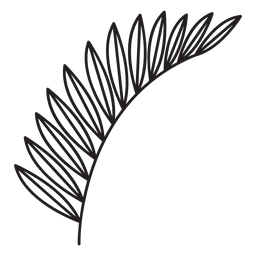 Hoja geométrica delgada trazo lateral múltiple Diseño PNG