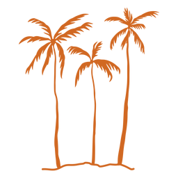 Palmera silueta palmera Diseño PNG