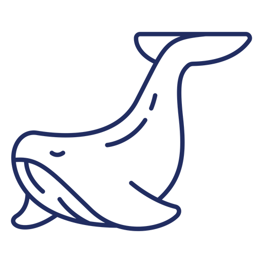 Cute whale stroke PNG Design