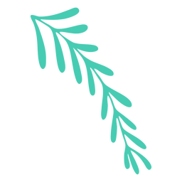 Folhas de natal simples Desenho PNG