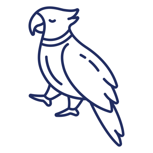 Piratenvogelschlag PNG-Design
