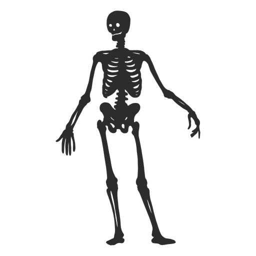 Einfache Skelett-Silhouette PNG-Design