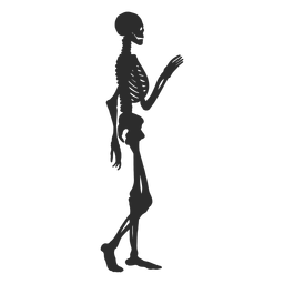 Silhueta de esqueleto de onda Desenho PNG