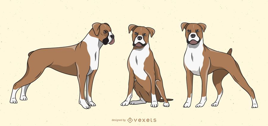 Boxer Dog Illustration Set Boxer Dog Illustration Set