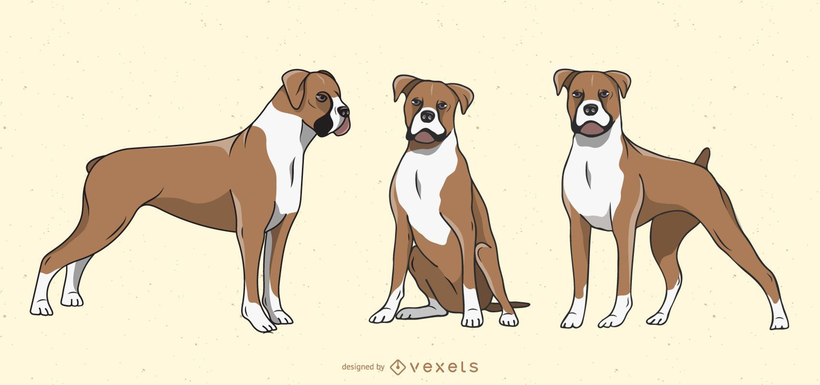 Conjunto de ilustração de cão boxer