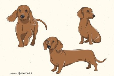 Conjunto de ilustración de perro Dachshund