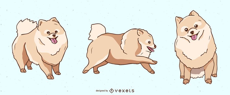 Pomeranian Dog Illustration Set Pomeranian Dog Illustration Set