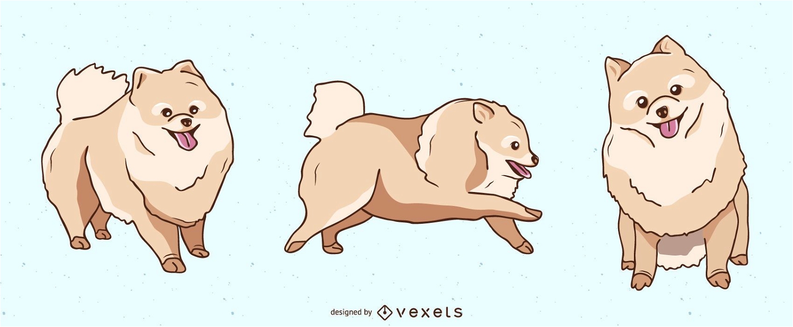 Conjunto de ilustração de cachorro da Pomerânia