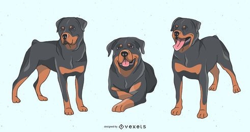 Conjunto de ilustração de cachorro Rottweiler