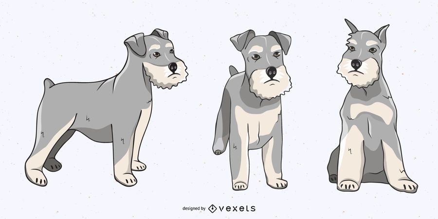 Schnauzer dog illustration set Schnauzer dog illustration set