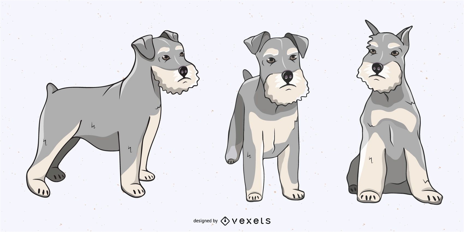 Conjunto de ilustração de cachorro Schnauzer