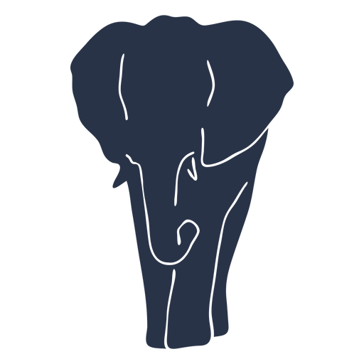 Vista frontal do elefante