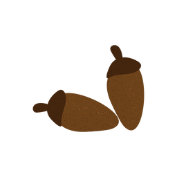 Ilustração com textura de bolota Desenho PNG