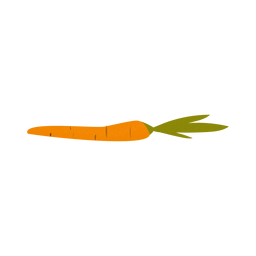 Ilustração com textura de cenoura Desenho PNG