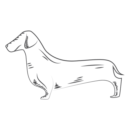 Trazo dibujado a mano de perro salchicha Diseño PNG