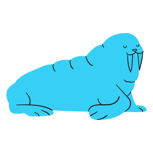 Flat blue walrus resting PNG Design