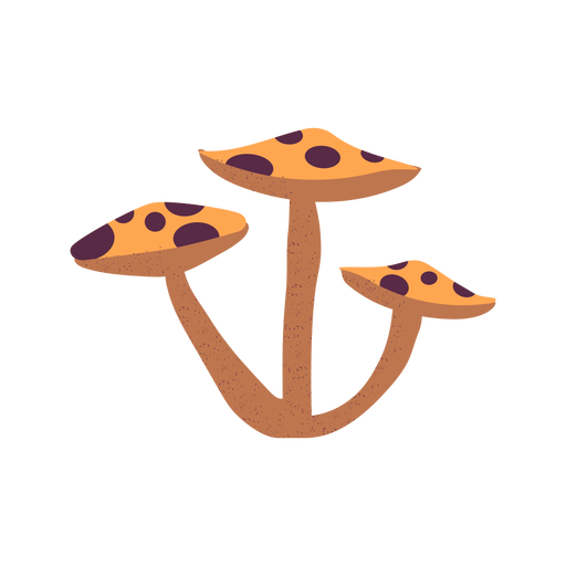 Hand drawn mushroom textured PNG Design