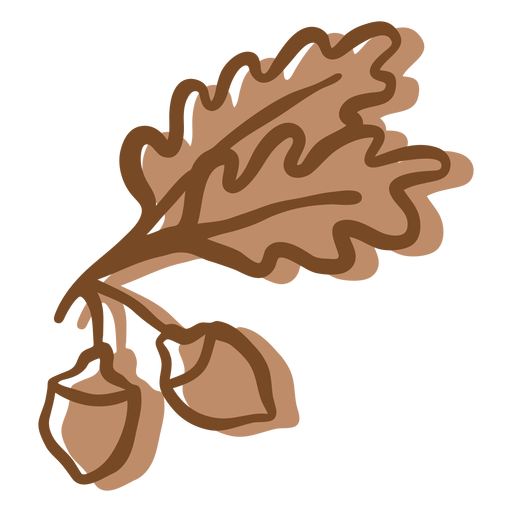 Hand drawn stroke oak leaves acorn